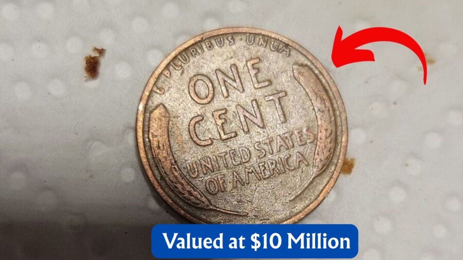 Could a Lincoln Wheat Penny Worth $10 Million Be in Your Pocket
